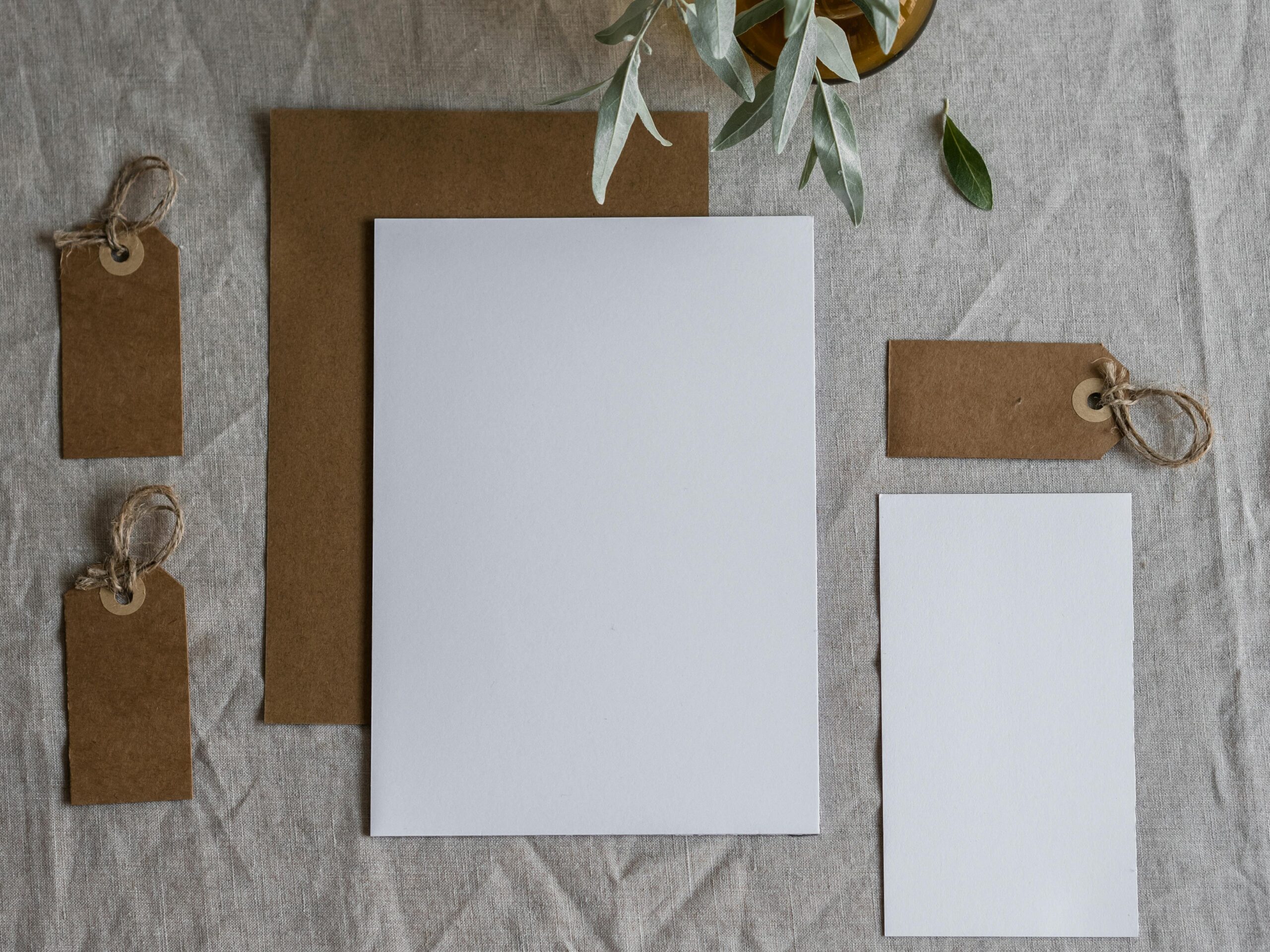 The Rise of Eco-Friendly Branding