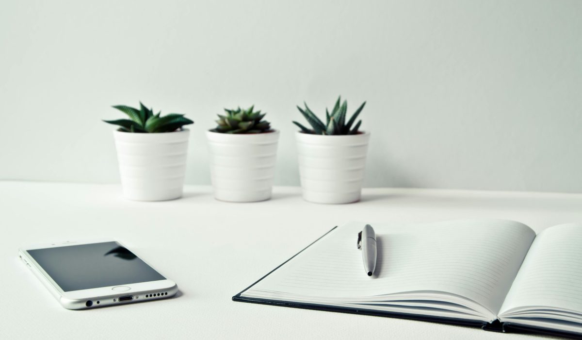 The Importance of Mobile Optimization in 2025