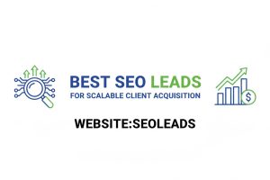 Best SEO Leads for Scalable Client Acquisition